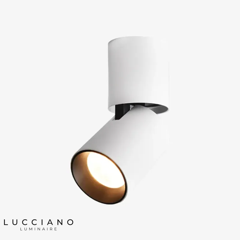 Spots LED cylindriques ajustables