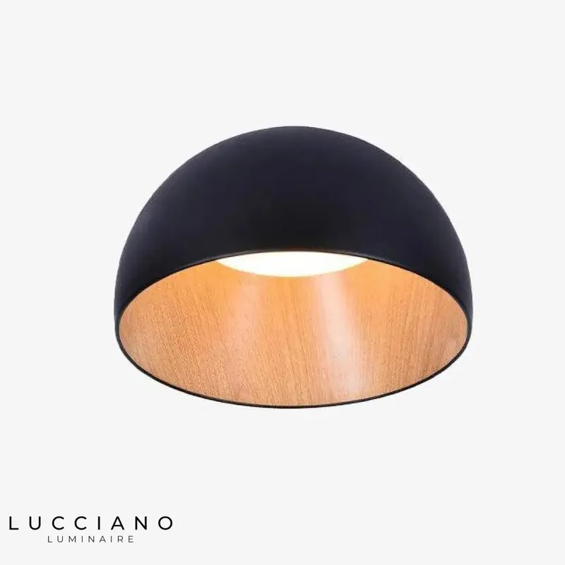 Plafonnier LED Oval Minimaliste Loft