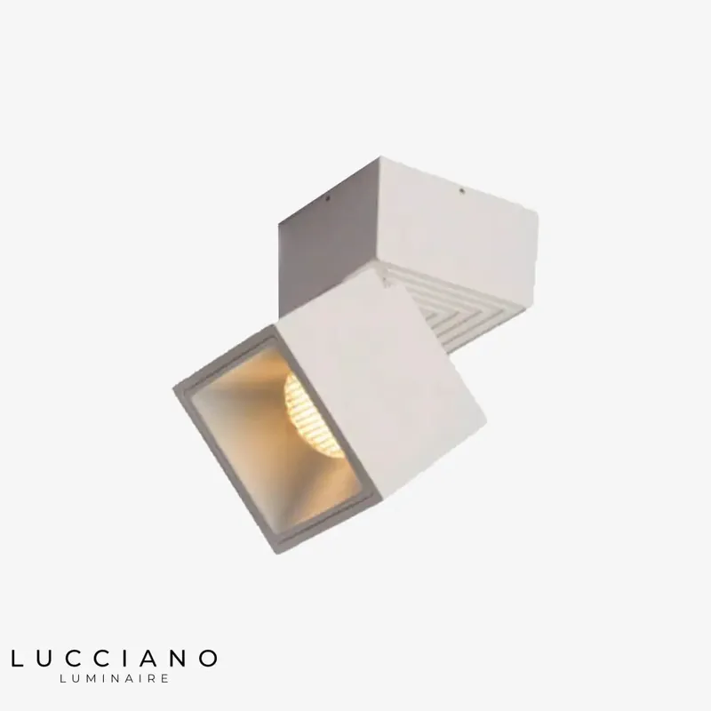 Spot cubique ajustable Irma