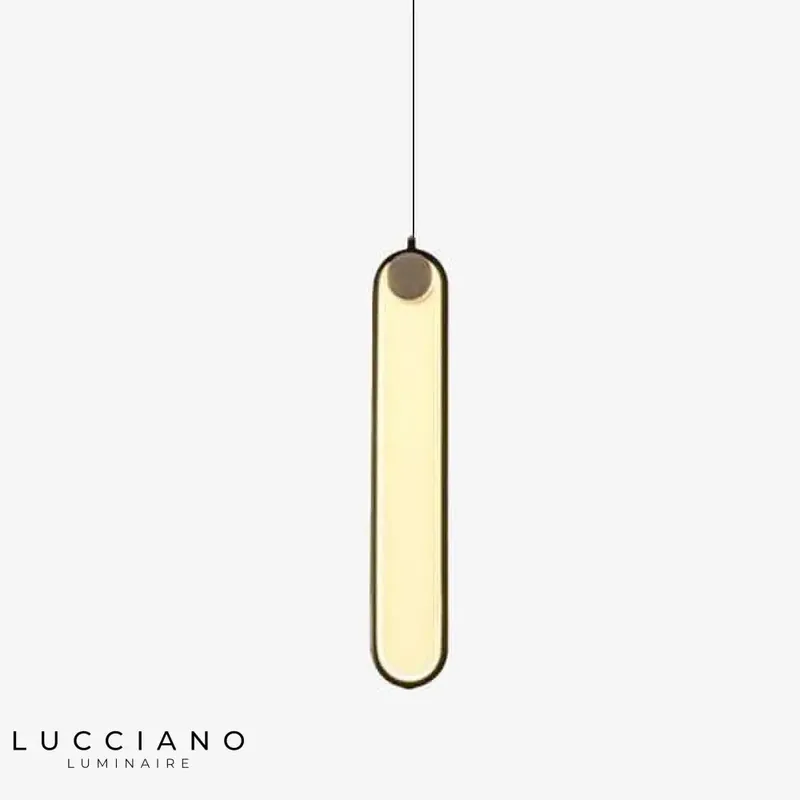 Suspension LED Anneau Allongé Moderne