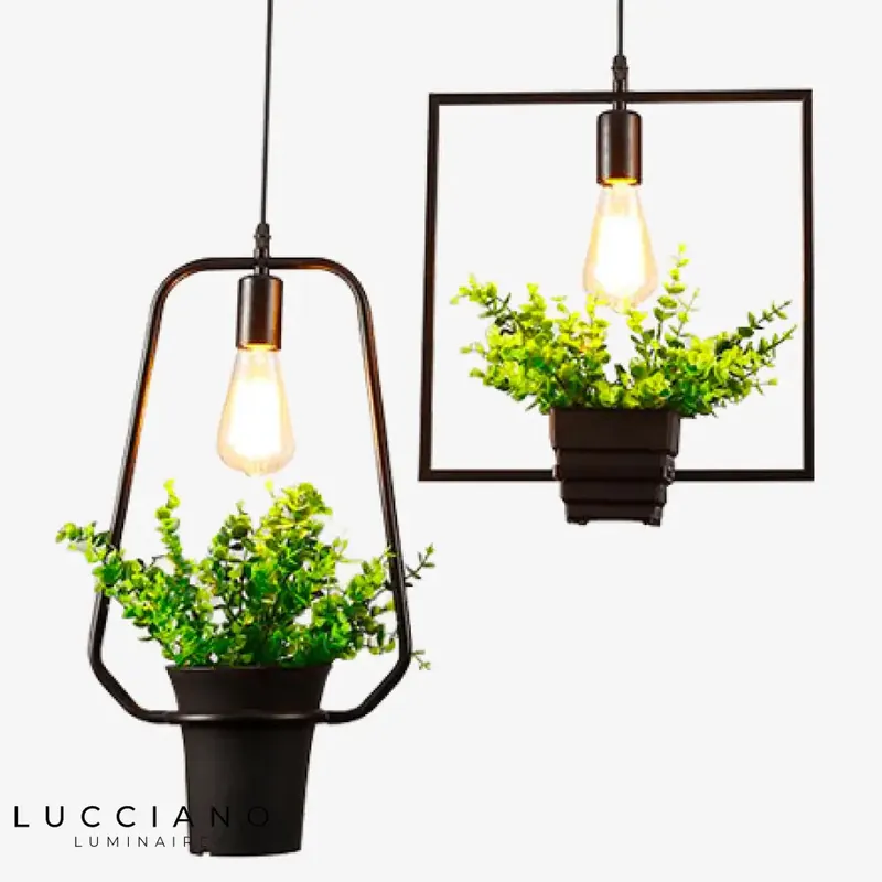 Suspension Plantes Vertes Trazos