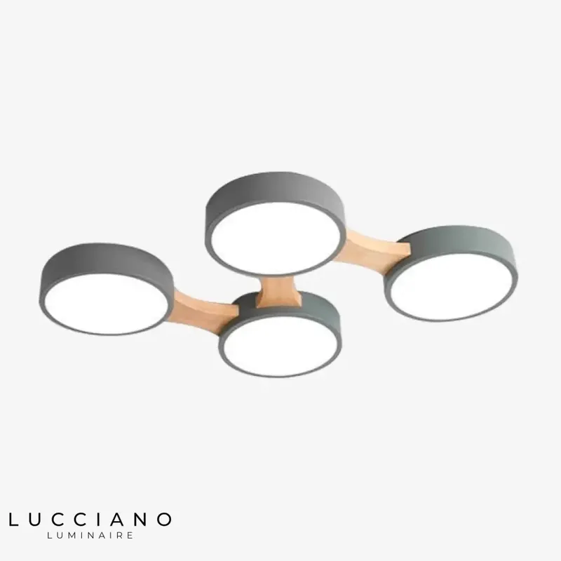 LED Rond Plafonnier Multisegments Botimi
