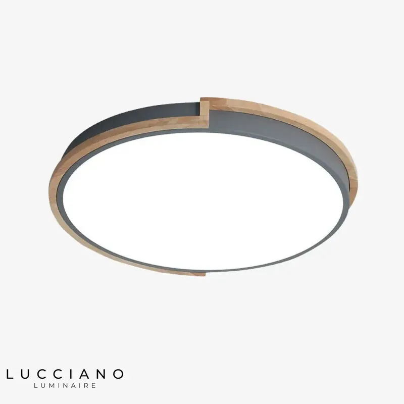Plafonnier rond minimaliste Celeste dimmable