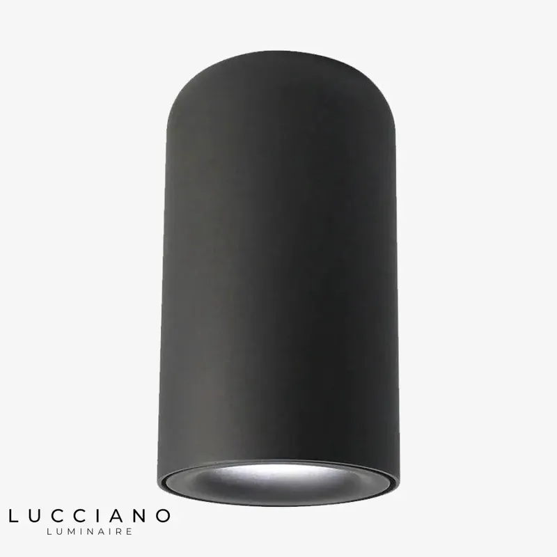 Spot cylindrique arrondi Mount