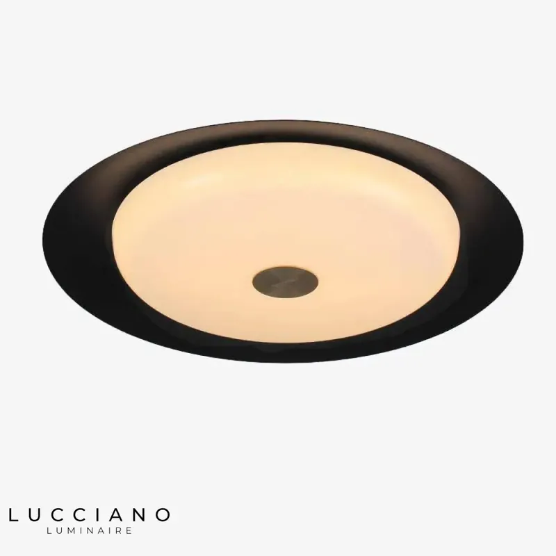 Plafonnier LED Noir Disque Métallique