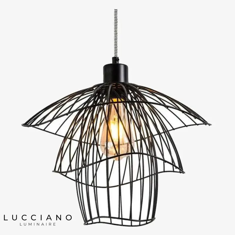 Design de suspension cage colorée