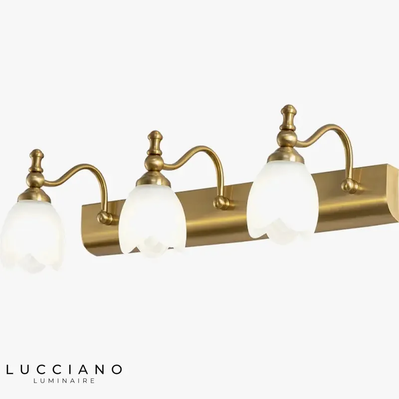 Voici le titre transformé :
Applique murale élégante design LED miroir
